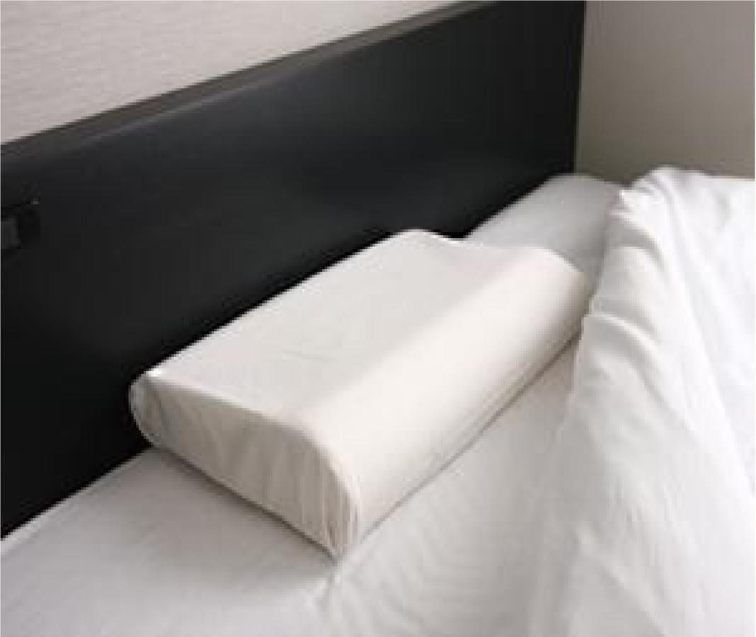Niigata Park Hotel Exterior photo